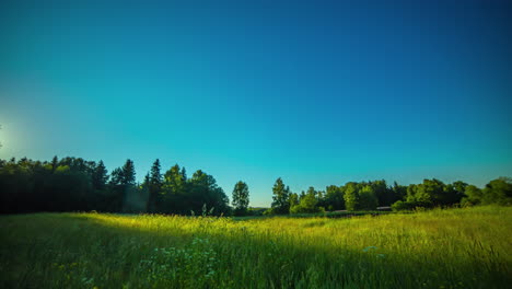 Timelapse-of-midnight-sun-over-green-field-and-rural-landscape