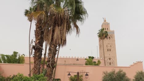 Historic-Koutoubia-mosque-with-lush-Moroccan-palm-trees-outside-impressive-Muslim-landmark-exterior