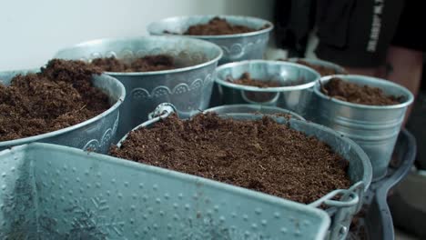 Soil-is-being-scattered-or-sprinkled-across-the-buckets,-distributed-evenly-as-it-is-spread-over-each-one