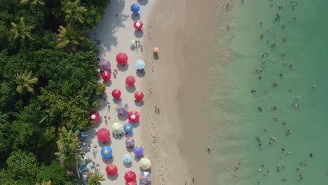 Aerial-drone-bird's-eye-view-of-the-popular-tropical-Coquerinhos-beach-with-colorful-umbrellas,-palm-trees,-golden-sand,-turquoise-water,-and-tourist's-swimming-with-no-waves-in-Conde,-Paraiba,-Brazil