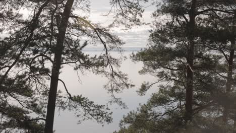 Vista-Del-Lago-Vattern-A-Través-De-Los-árboles-Del-Bosque-En-Suecia