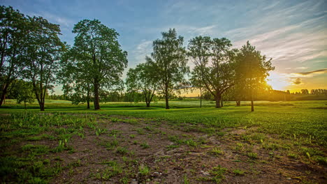 Timelapse-of-sunrise-on-green-meadow-with-trees-in-background