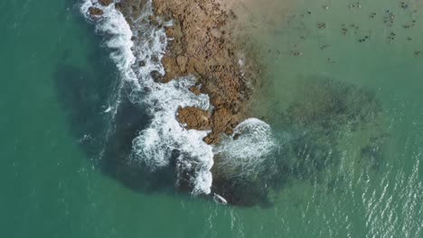 Descending-aerial-drone-bird's-eye-wide-shot-of-the-popular-tropical-Coquerinhos-beach-with-waves-crashing-into-exposed-rocks,-palm-trees,-golden-sand,-turquoise-water-in-Conde,-Paraiba,-Brazil