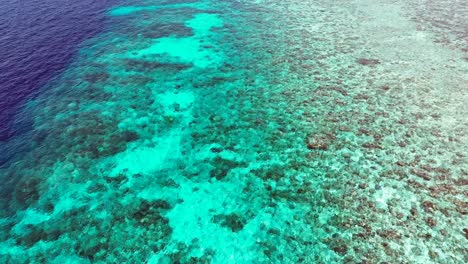 Coral-Reef-Under-Turquoise-Clear-Ocean-Water-Seen-From-Above