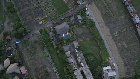 Bird's-eye-view-of-organized-rows-of-rice-fields-in-Asian-village