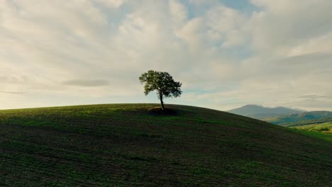 Aerial-of-a-lone-tree-in-the-middle-of-a-ploughed-field-in-Tuscany-in-low-light,-Province-of-Siena,-Italy