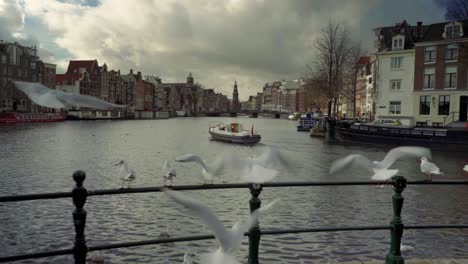 Epic-establishing-shot-of-Amsterdam-with-canal-houses,-Amstel-river,-birds,-boat-on-cloudy-day,-Netherlands,-Holland-gimbal-move-forward