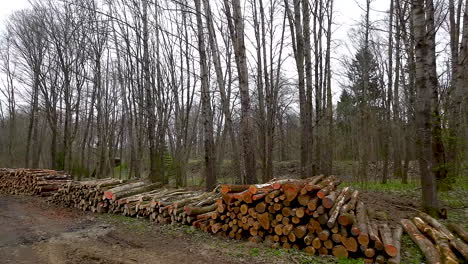 Gestapelte-Gesägte-Baumstämme-In-Holzpfählen-Für-Den-Transport-Im-Wald-In-Polen---Luftaufnahme