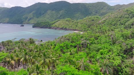 Aerial-flyover-tropical-trees-reaching-playa-ermitano-with-mountains-in-background---Samana,-Dominican-Republic
