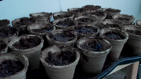 The-pots-filled-with-soil-are-being-watered,-as-water-is-poured-or-sprinkled-over-them-to-provide-necessary-moisture-for-the-plants