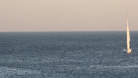 Weit--Und-Nahansicht-Eines-Segelboots,-Das-Den-Tejo-Bei-Sonnenuntergang-überquert,-Mit-Orangefarbenem-Himmel-Im-Hintergrund-Und-Einigen-Herumfliegenden-Möwen,-Belem,-Lissabon,-Portugal