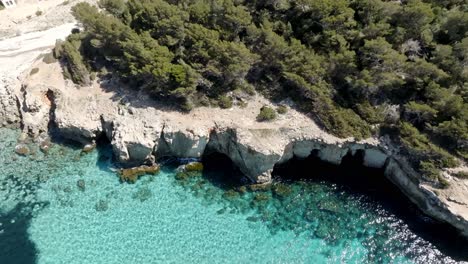 Aerial-view-of-Cala-Escorxada,-the-virgin-beach-in-Menorca,-Spain-with-green-water-and-a-hill-nearby-with-green-trees