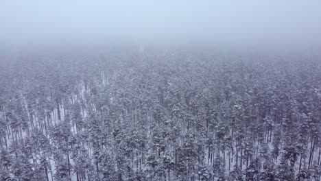 Aerial-view-of-white-winter-wonderland-forest-while-snowing-circle-pan,-day