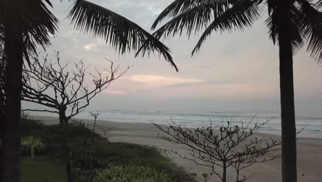 Beautiful-establishing-shot-of-early-morning-beach-and-palm-trees