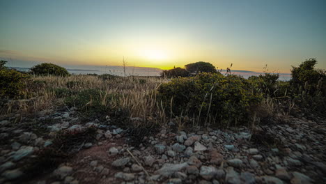 Timelapse-shot-of-dried-grass-along-pebbles-during-morning-time