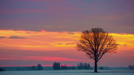 Eine-Winterwiese-Mit-Einem-Einzelnen-Baum,-Hinter-Dem-Ein-Leuchtend-Orange-gelber-Sonnenuntergang-Vorbeizieht