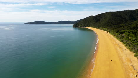 aerial-view-of-scenic-sandy-beach-with-pristine-ocean-water-in-Abel-Tasman-national-Park-drone-fly-above-Totaranui-beach-bay-in-New-Zealand