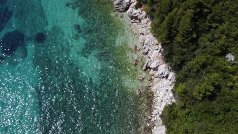 Dense-coastal-Pine-and-Cypress-forest-lining-up-rocky-shore-with-turquoise-blue-seawater-in-Dubrovnik,-Croatia