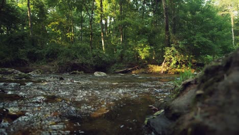 static-wide-shallow-river-in-nature-forest,-sunlight-streams-through-trees