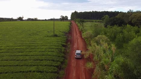 An-aerial-view-of-a-vehicle-passing-through-a-countryside-road-with-vineyards-and-forest-and-red-soil,-Salto-Chavez,-Campo-Grande,-Misiones,-Argentina