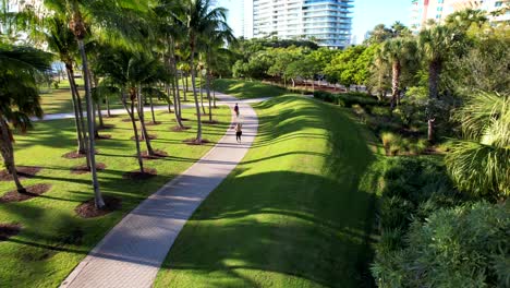 Drone-clip-following-palm-tree-lined-pathways-with-city-scape-in-the-background,-in-Miami,-Florida