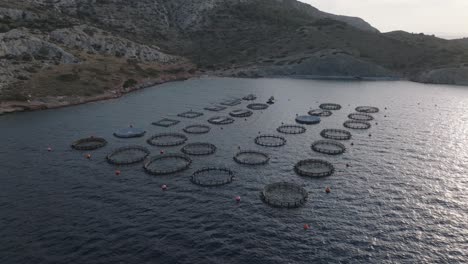 Luftaufnahme-Einer-Fischereifarm-Und-Eines-Fischkäfigs-In-Griechenland-Bei-Sonnenuntergang