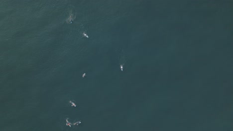 Luftaufnahme-Von-Oben-Nach-Unten-Mit-Drohnenansicht-Der-Surfer-La-Bocana-El-Tunco-El-Salvador