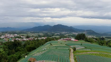 Indonesian-fields-and-mountain-in-horizon-on-cloudy-day,-aerial-drone-view