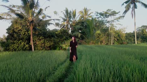 Beautiful-model-walks-towards-the-camera-enjoying-her-freedom-and-nature-scenery-surrounded-by-rice-fields-during-morning-walk