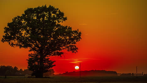 Goldener-Sonnenuntergang-Im-Zeitraffer-Mit-Einem-Baum-Als-Silhouette-Im-Vordergrund