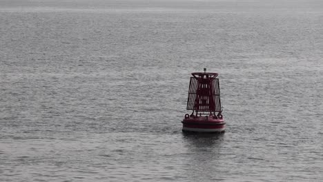 A-buoy-floating-in-the-sea-water