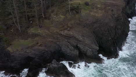 People-hiking-with-a-dog-through-the-forest-on-cliff-over-rough-ocean-waters-in-the-pacific-northwest