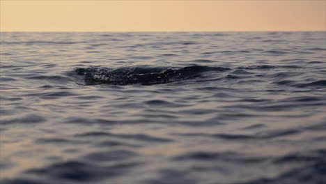 Zeitlupenansicht-Der-Welligen-Meeresoberfläche-Im-Morgengrauen,-Entspannende-Meereslandschaft,-Keine-Menschen