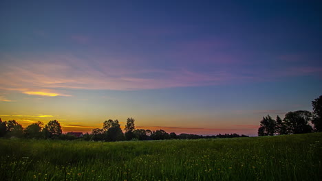Zeitraffer-Des-Sonnenaufgangs-über-üppigem-Grünem-Feld