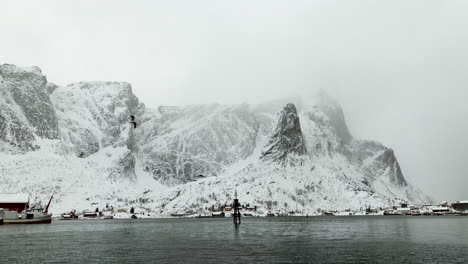 Monochromatic-View-Of-Seagulls-Flying-During-Winter-In-Reine,-Lofoten-Islands,-Norway