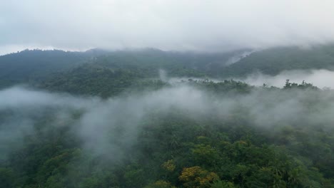 Nubes-Bajas-Sobre-La-Selva-Tropical-Y-Las-Montañas-Durante-El-Amanecer-En-Catanduanes,-Filipinas