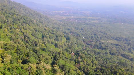 Aerial-view-of-forest-on-the-hill