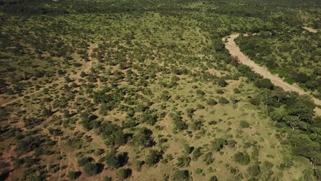 Eine-Wunderschöne-Drohnenaufnahme-Des-Ausgedehnten-Afrikanischen-Busches,-Die-Eine-Elefantenherde-Zeigt