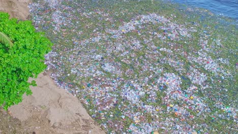 Aerial-view-around-waves-floating-plastic-litter-and-green-vegetation-to-a-beach