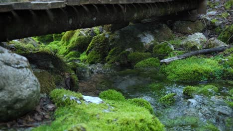 Small-forest-creek-flowing-midst-lush-green-mossy-rocks-under-wooden-bridge