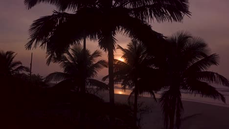 Establishing-4k-drone-shot-showing-beautiful-beach-and-palms-in-sunrise-in-Brazil