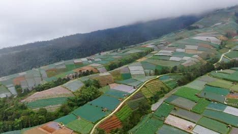 Hilly-terrain-of-Indonesian-terrace-plantation-fields,-aerial-drone-view
