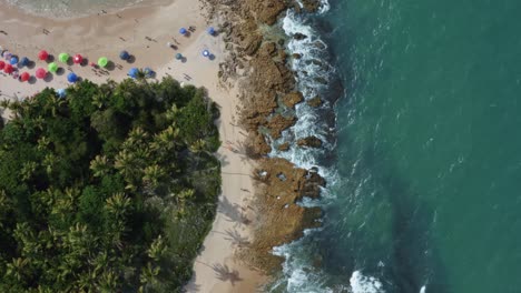 Fly-forward-aerial-drone-bird's-eye-shot-of-the-popular-tropical-Coquerinhos-beach-with-colorful-umbrellas,-palm-trees,-golden-sand,-turquoise-water,-and-tourist's-swimming-in-Conde,-Paraiba,-Brazil