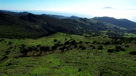 Green-hills-seen-from-a-drone-on-a-sunny-beautiful-day,-the-Mediterranean-sea-in-the-background
