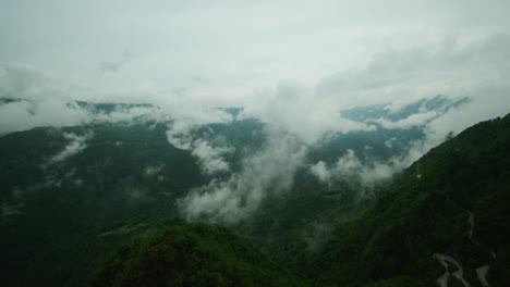 White-thick-fog-forms-in-green-forest-mountainous-valley-after-rain,-timelapse