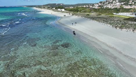 Eine-Filmische-Luftaufnahme-Eines-Pferdes-Am-Strand-Von-Son-Bou-Mit-Gebäuden-Im-Hintergrund-Auf-Menorca,-Spanien