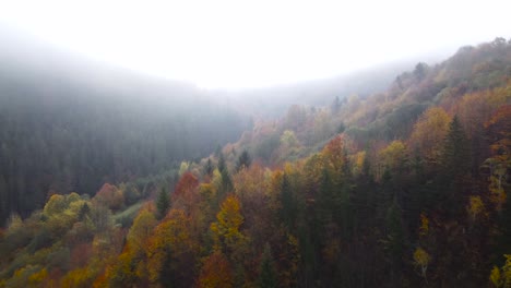 Fliegen-Sie-Durch-Die-Malerische-Aussicht-Auf-Den-Frühen-Herbst,-Einen-Nebligen-Morgen-In-Der-Landschaft-Rumäniens
