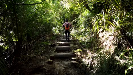 Female-walking-on-steps-in-rainforest,-outdoor-walking-activity