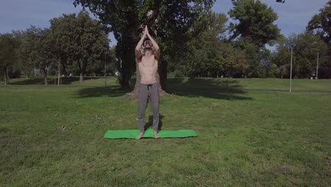 Schöner-Junger-Männlicher-Yogi,-Der-Yoga-Baum-Stretching-Im-Park-Macht,-Natur-Lifestyle-Zen-Wellness-Konzept