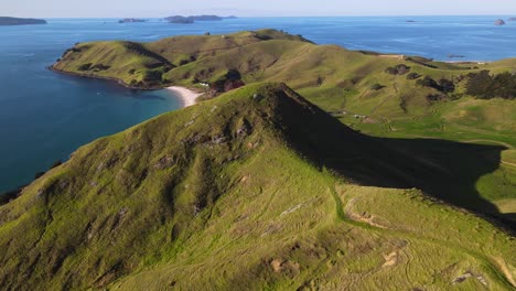 Birds-eye-of-view---Picturesque-landscape-scenery-of-New-Zealand,-Coromandel-Peninsula-coast,-with-green-hills,-sandy-beach-and-calm-ocean